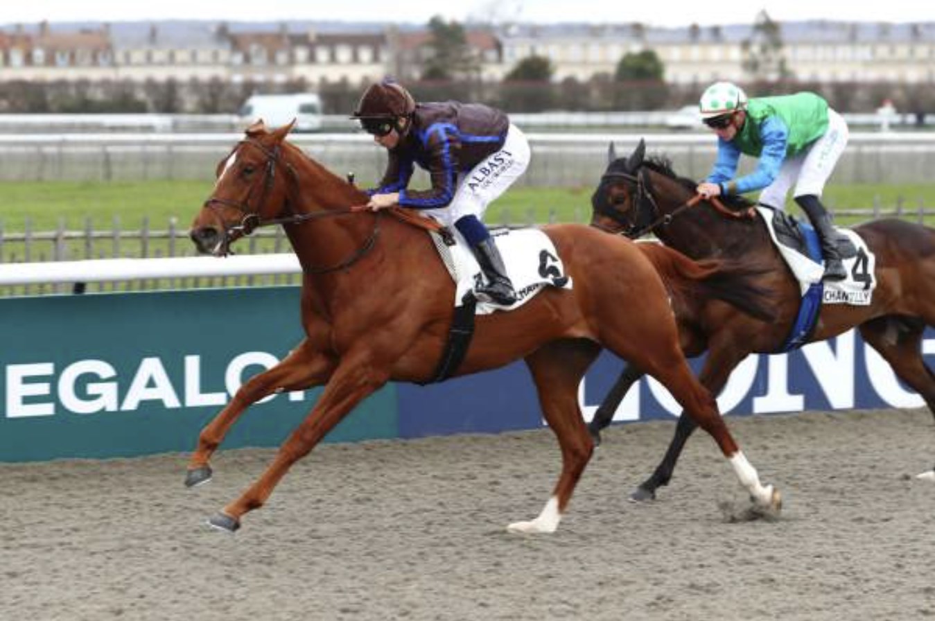 You are currently viewing Canalturf : pronostics, résultats et conseils pour les courses hippiques