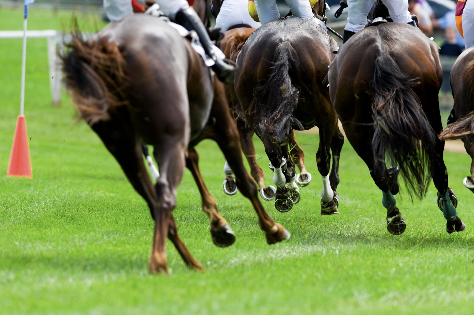 Lire la suite à propos de l’article Dezcourse : Exploration détaillée du monde des courses hippiques