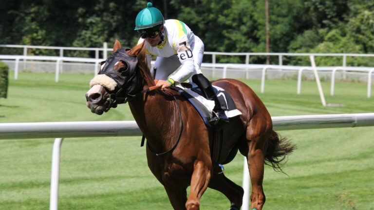 Turf hors anj / arjel : 5 sites fiables pour le pari hippique