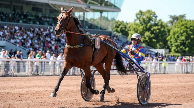 Pronostic quinté 4 septembre 2026 : l'analyse du Prix Bruna