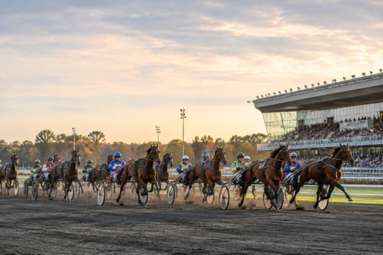 Analyse du Quinté de Vincennes du vendredi 16 octobre 2026