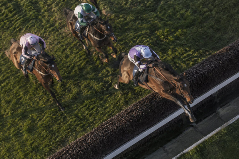 Analyse et pronostics du quinté de steeple-chase d’Auteuil du 22 octobre 2026, Prix André Adèle