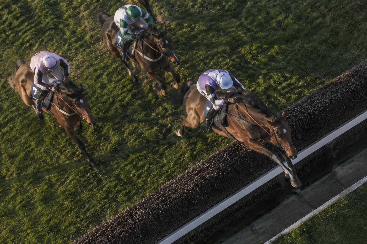 Vous consultez actuellement Analyse et pronostics du quinté de steeple-chase d’Auteuil du 22 octobre 2026, Prix André Adèle